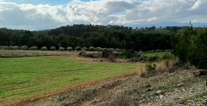 Çimento fabrikasının yapılacağı alan / Fotoğraf: Diken