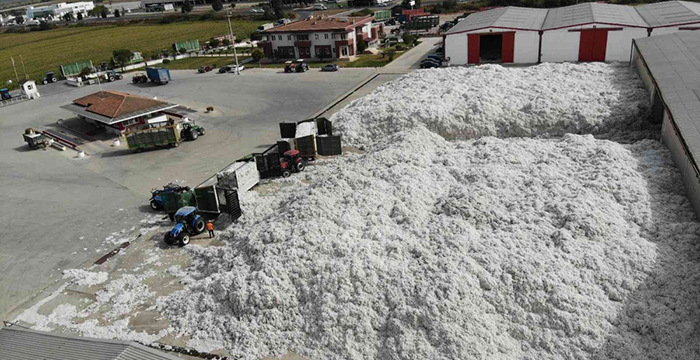 TARİŞ'e rağbet arttı depolar 10 milyon 200 bin kilo pamukla doldu