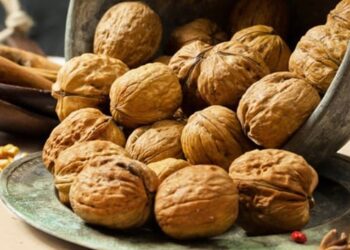 İşte ceviz suyunun insan sağlığına faydaları…