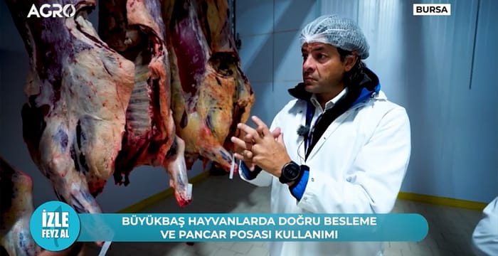 Sencer Solakoğlu ve Eşref Şekerli’den Hayvancılığın Şifreleri | İzle Feyz Al