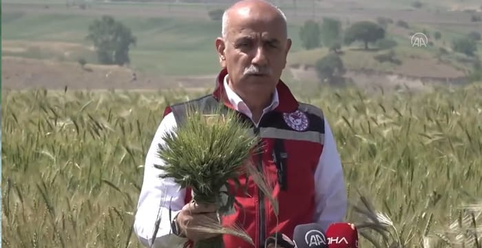 Tarım  Bakanı: ‘’Buğdayda rekolte beklentisi 21 milyon ton”