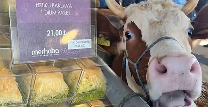 “Baklava, nasıl et fiyatını geçer anlamış değilim”
