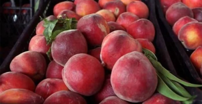 Şeftali’nin kilosu halde 7 lira, markette 27 lira