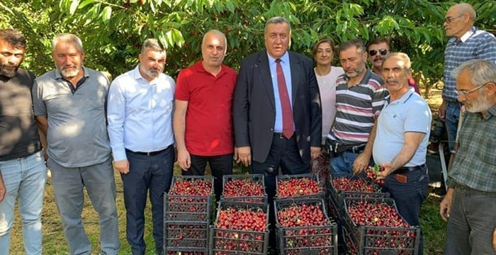 Niğde’de kiraz üreticisi kan ağlıyor