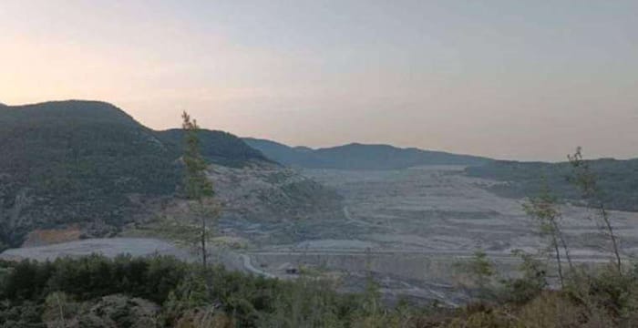 Türkiye Ormancılar Derneği Başkanı: Akbelen’de 65 bin ağacın kesildiği anlaşılıyor