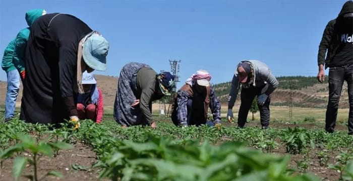 CHP’den mevsimlik tarım işçileri için 10 maddelik çözüm önerisi