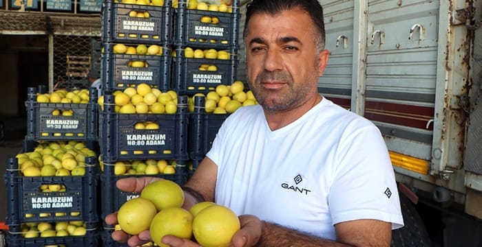 Limonda tarladan sofraya 8 kat pahalılık