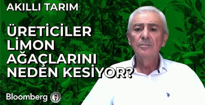 Akıllı Tarım – Üreticiler Limon Ağaçlarını Neden Kesiyor?