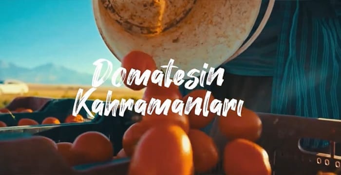 Domatesin Kahramanları Belgesi | Yönetmen – AGRO TV Genel Sanat Yönetmeni Özgür Şahbaz