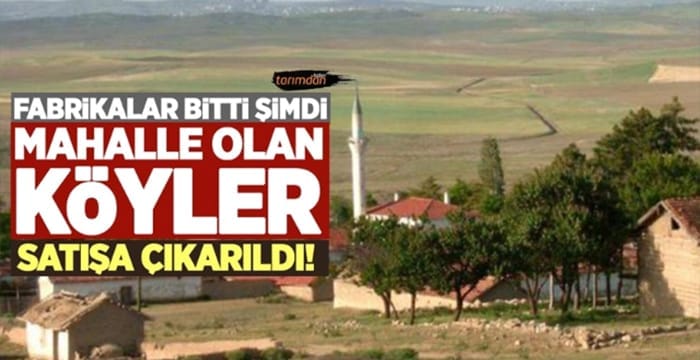 Köyler nasıl satılıyor? Tarımda büyük tehlike! Köy gelişim alanları yani meralar parsel parsel TOKİ tarafından satılacak