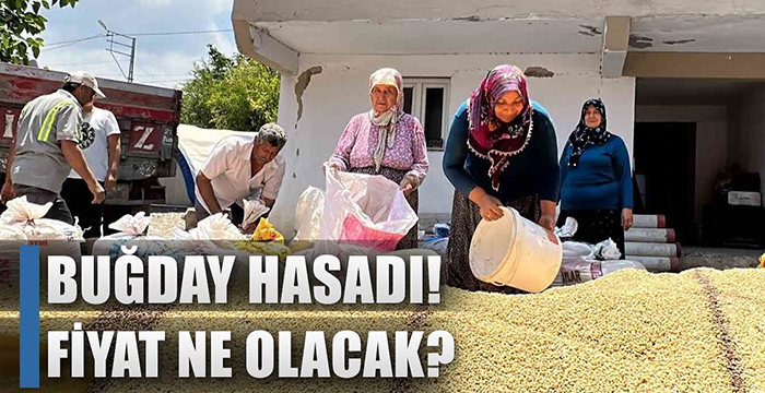 “Gençler Tarıma Küstü” Bereketli Topraklarda Buğday Hasadı! / AGRO TV HABER
