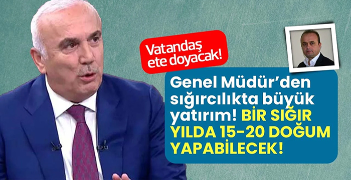 Genel Müdürden sığırcılıkta büyük yatırım! Bir sığır yılda 15-20 doğum yapabilecek!