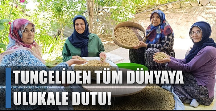 Coğrafi İşaretli Dut Tunceli’den Tüm Dünyaya İhraç Ediliyor! “Avrupa’dan Talep Var” / AGRO TV HABER