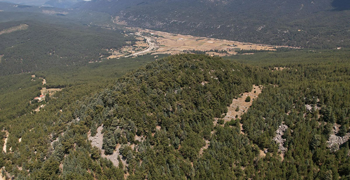 Kaş’ta doğa katliamına büyük tepki