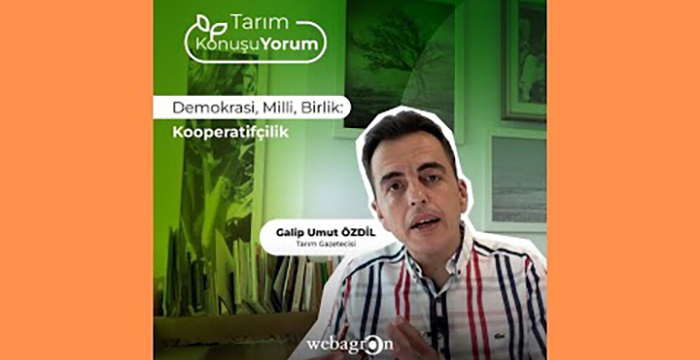 Demokrasi, Milli, Birlik / Kooperatifçilik