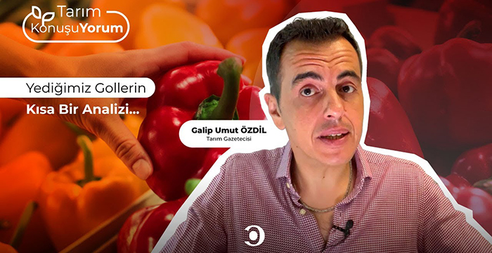 Yediğimiz Gollerin Kısa Bir Analizi