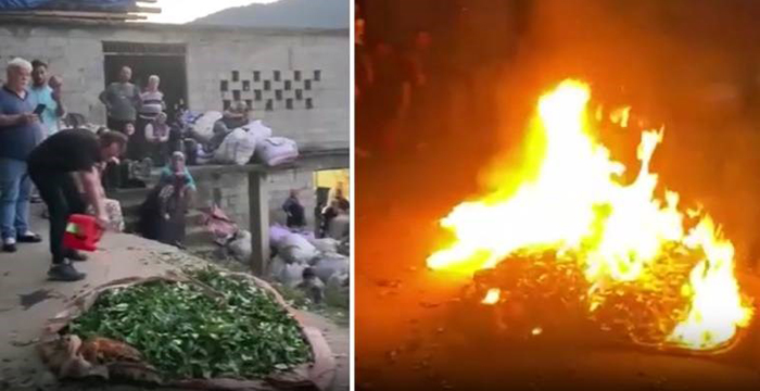 Rizeli üretici çayını yakarak Çaykur’u protesto etti