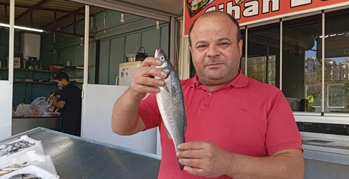 Balık satan esnaf: “Yarım balık soranlar var, bir levreği ikiye bölmek istiyorlar”