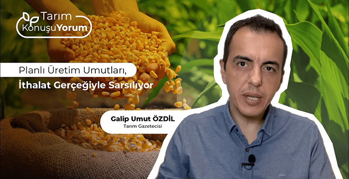 Planlı Üretim Umutları, İthalat Gerçeğiyle Sarsılıyor