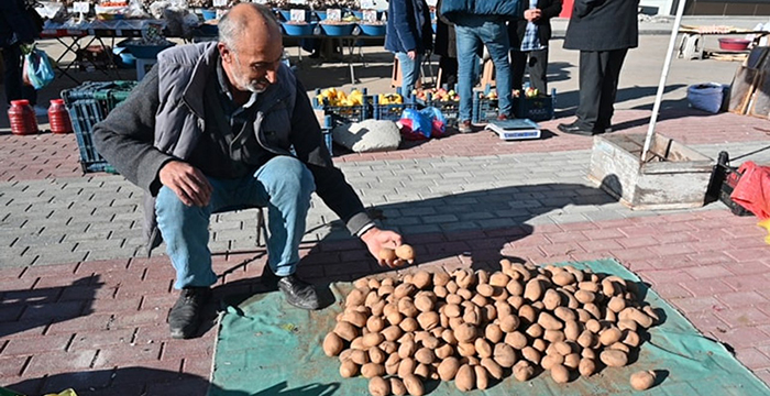 Çiftçi isyan etti: Gelecek seneye bir daha tövbe yapmayacağım