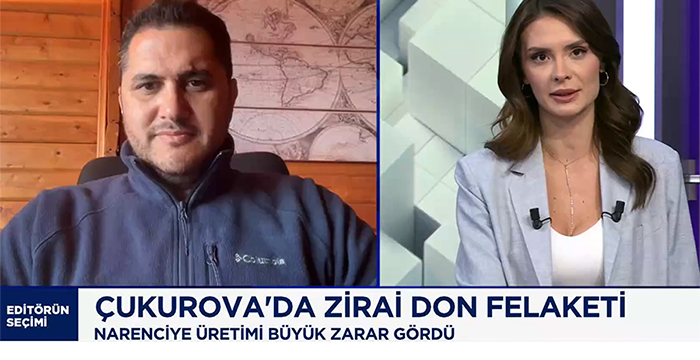 Çukurova’da Zirai Don Felaketi. Narenciye Üretimi Büyük Zarar Gördü