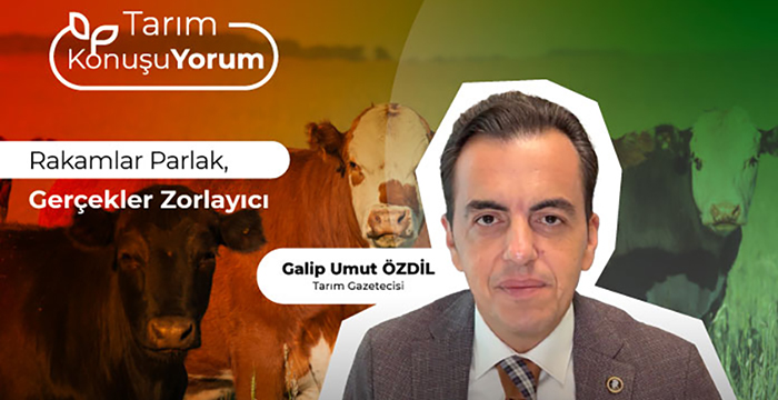 Rakamlar Parlak, Gerçekler Zorlayıcı