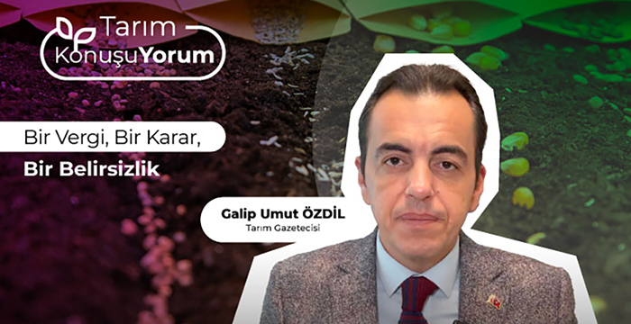 Bir Vergi, Bir Karar, Bir Belirsizlik