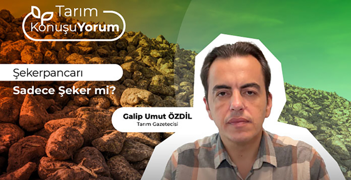 Şekerpancarı sadece şeker mi?