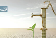 İklimin izinde kalan ürünler: Zeytin, üzüm incir, pamuk