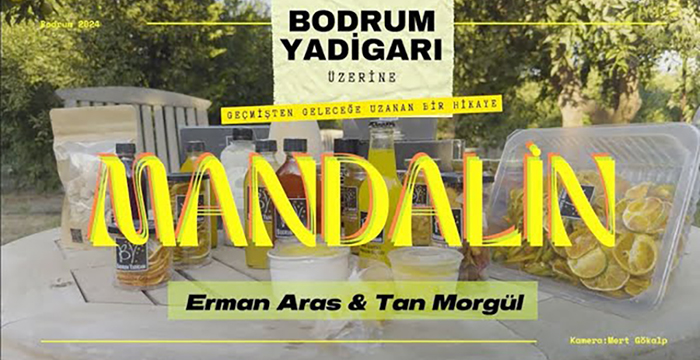 Mandalina Bahçelerinden Bir Hikâye: Bodrum Yadigârı