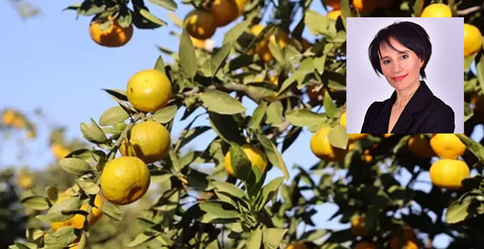 mandalina-mine-ataman