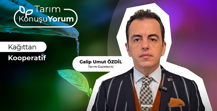 Kağıttan Kooperatif