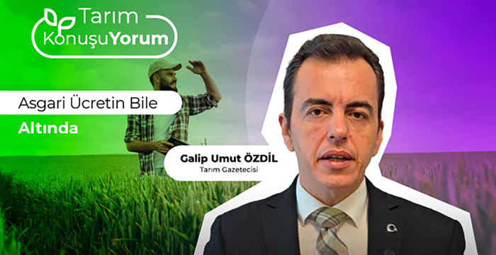 Asgari Ücretin Bile Altında
