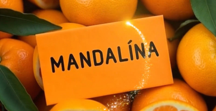Mandalina Üreticilerine Klipli Destek