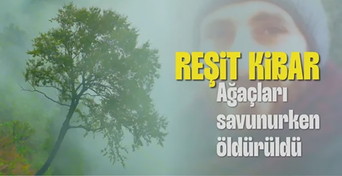 Reşit Kibar cinayeti; orman kanunları Cankurtaran’da can aldı