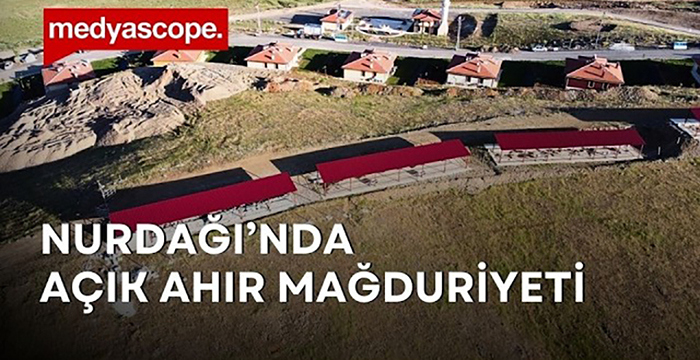 Erdoğan “Ahırlar dolacak” demişti | Depremin ardından Nurdağı’nda hayvancılık neden bitti?