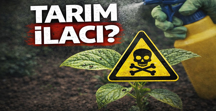 Pestisitsiz tarım mümkün! Tarım ilacı kullanmadan verim nasıl artar? 1 Pestisitsiz tarım mümkün! Tarım ilacı kullanmadan verim nasıl artar?