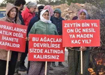 İhaleler bitti, sıra talancı şirketlerin