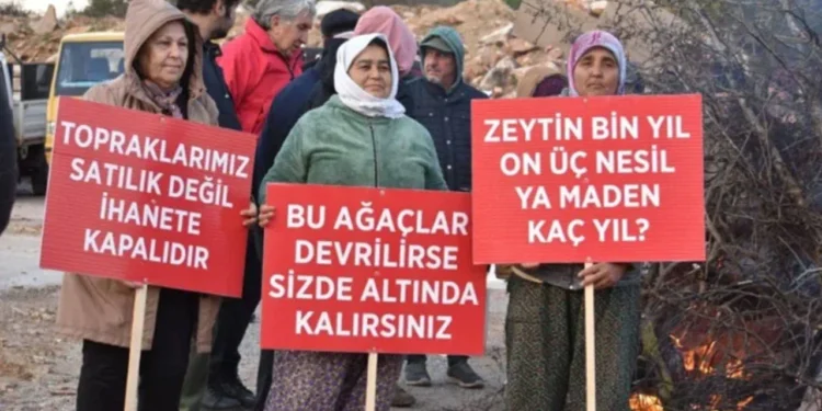 Ihaleler bitti sira talanci sirketlerin