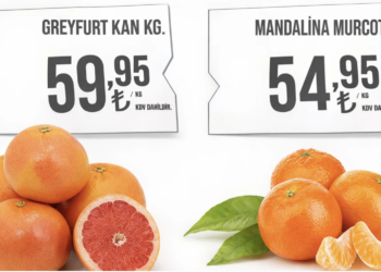 Çiftçiler isyanda: Dalında 6 TL, markette 55 TL!