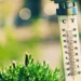 Süper El Nino kapıda: Sıcaklık rekorları alt üst olabilir