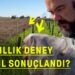 Tarım ilacı kullanmazsan ne olur? Fransa’nın 30 yıllık deneyi verimi nasıl artırdı?