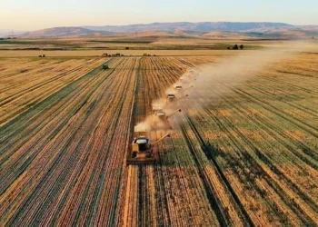 Tarımda planlı üretime destek: Mazotun tamamı ödenecek