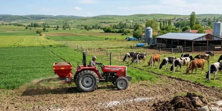 anahtar parti tarimda savas plani
