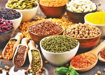 Gıda ihracatı savaşın ortasında kaldı