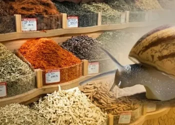 Aktarlarda hijyen alarmı! Sümüklü böcekli baharatı yedirmişler…