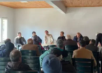 Fındıklı Çay Üreticileri Meclisi Kuruldu: ‘Çayın geleceği, çocuklarımızın geleceğidir’