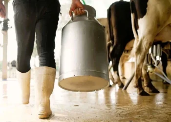 TÜSEDAD: Çiğ süt üretim maliyeti şubatta 27,64 TL’ye çıktı
