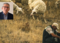 Uluslararası Mera ve Çobanlar yılı 1 Uluslararası Mera ve Çobanlar yılı