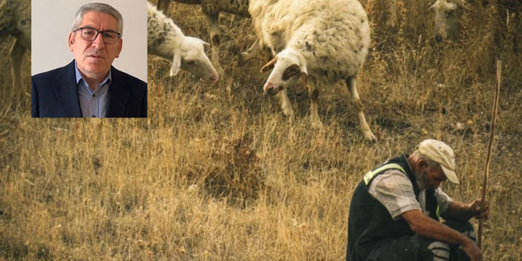 Uluslararası Mera ve Çobanlar yılı 1 coban aey